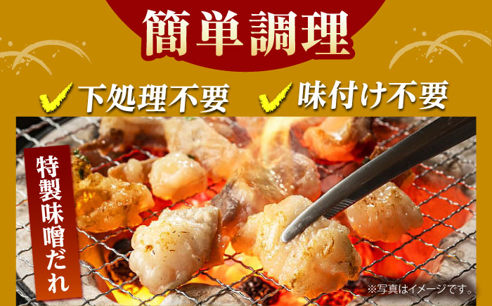 佐賀県産黒毛和牛ホルモン（味噌ダレ）500g【山下牛舎】 [HAD109] 牛肉