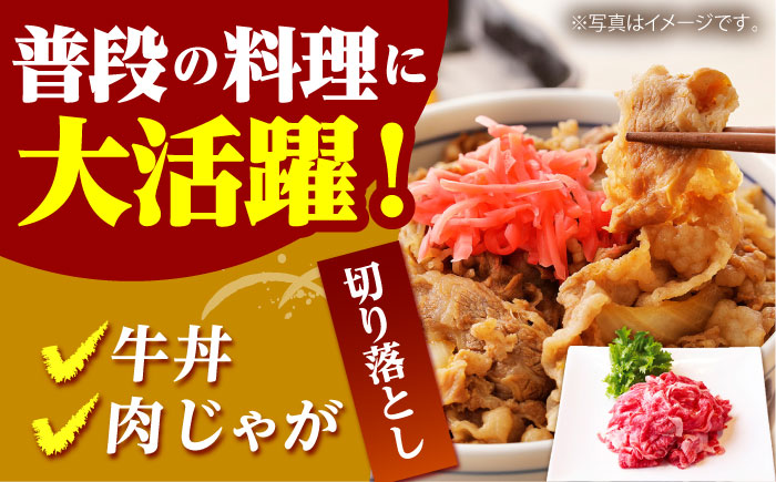 【全12回定期便】佐賀牛 おうちごはんセットB（切り落とし 1kg・ミンチ 600g・牛すじ 600g）【山下牛舎】 [HAD127]