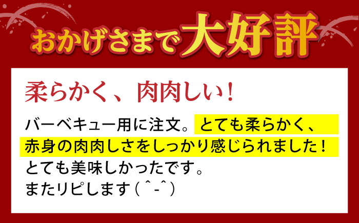 【全12回定期便】 佐賀牛 赤身 ステーキ（モモ）400g（200g×2枚） 【山下牛舎】 [HAD169]