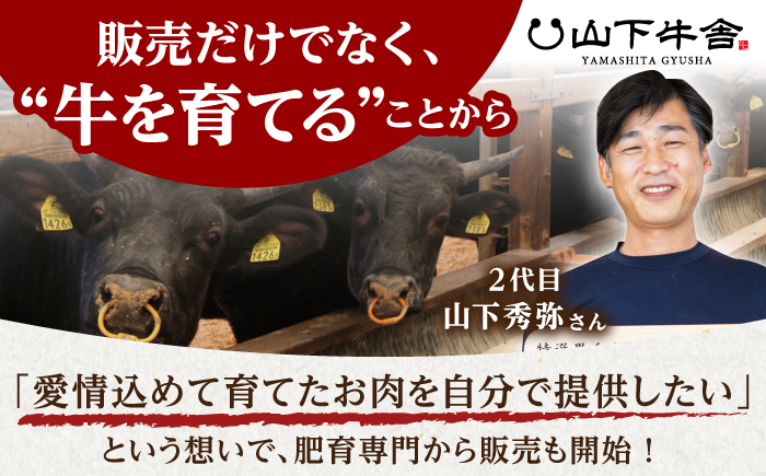 【全3回定期便】佐賀牛 ヒレステーキ 300g （100g×3枚） 【山下牛舎】黒毛和牛 フィレ ヒレ肉 [HAD174]