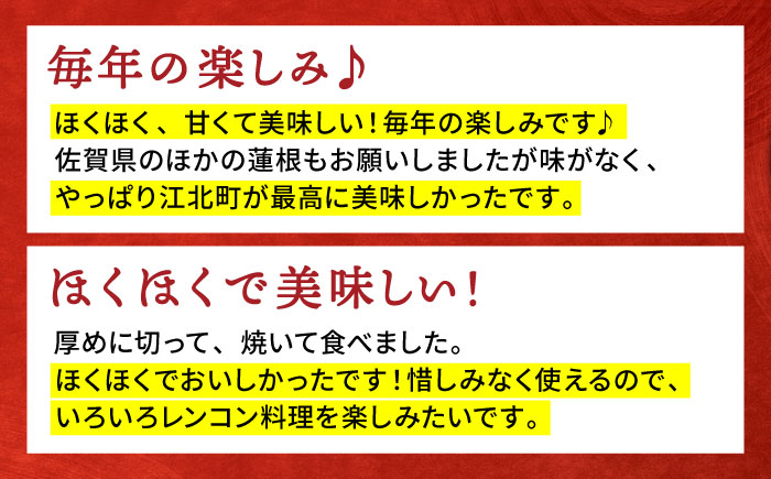 【先行予約】【特別栽培農産物 認定】＜地元江北町産＞佐賀 れんこんパック 10パック（250g×10パック）【百武青果】 [HAE016] 蓮根