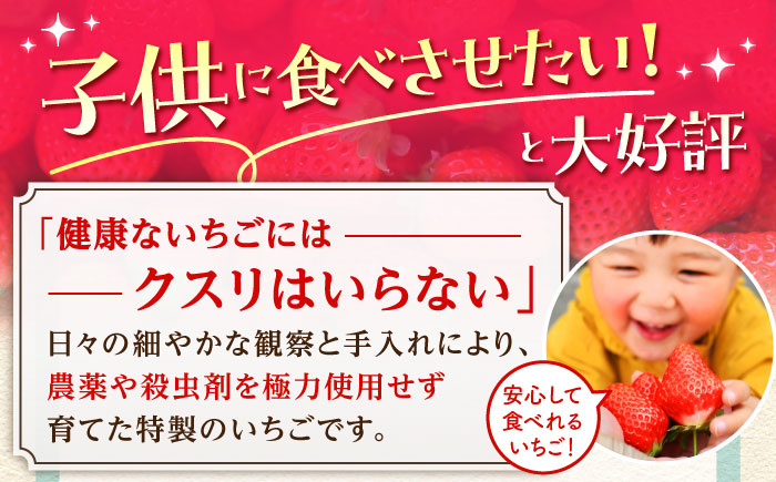 【先行予約】【全2回定期便】いちご食べ比べ定期 総計1kg（さがほのか いちごさん）【むらおか農園】 [HAF026]