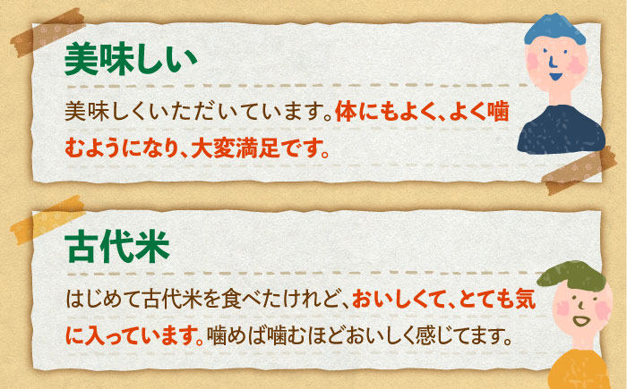 【全6回定期便】古代七穀米（500g×2個セット）【だいちの家】 [HAG009]雑穀
