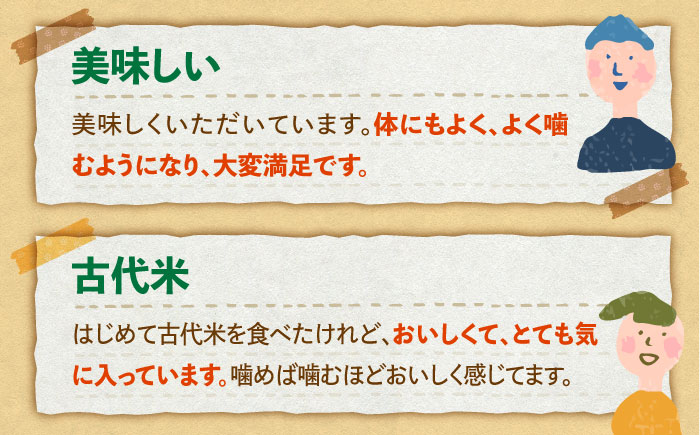 【全6回定期便】古代七穀米（500g）【だいちの家】 [HAG013]雑穀