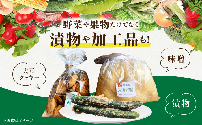 【全3回定期便】【隔月発送】新鮮野菜・加工品 おまかせ詰め合わせ【だいちの家】 [HAG016]