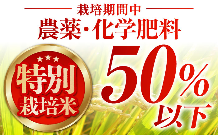 【先行予約】＜全12回定期便＞特別栽培米「さがびより」玄米 5kg 【だいちの家】 特A米 特A評価 [HAG030]