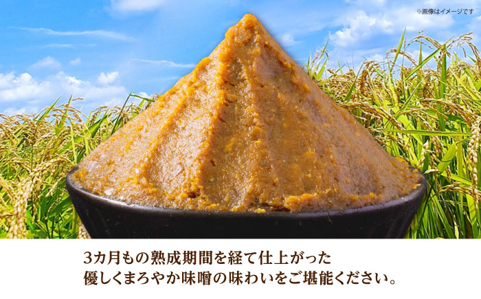 米味噌 2kg(1kg×2個) 【だいちの家】 [HAG037]