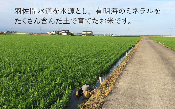 令和4年産 玄米 さがびより 15kg【武富農園】 [HAH001]