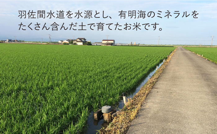 令和4年産 玄米 夢しずく 30kg【武富農園】 [HAH004]