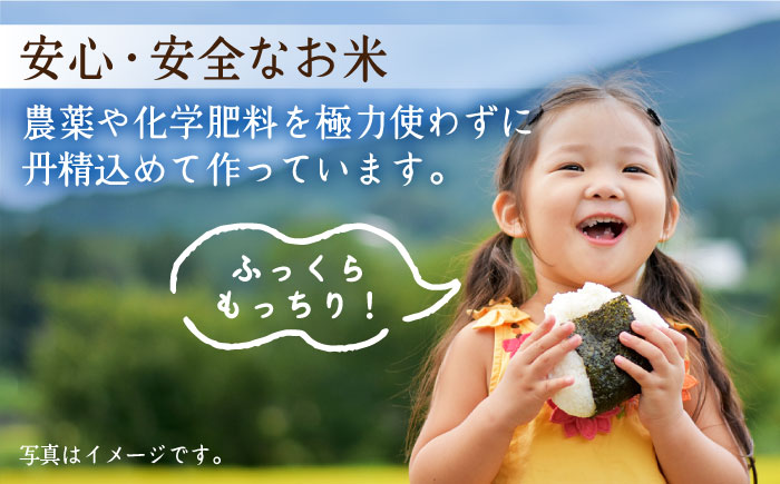 【全3回定期便】江北町産 1等米 夢しずく 玄米5kg（特別栽培米）【葦農】 [HAJ016]