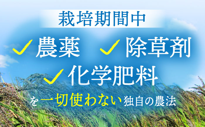 【全6回定期便】江北町産 1等米 夢しずく 玄米5kg（特別栽培米）【葦農】 [HAJ017]