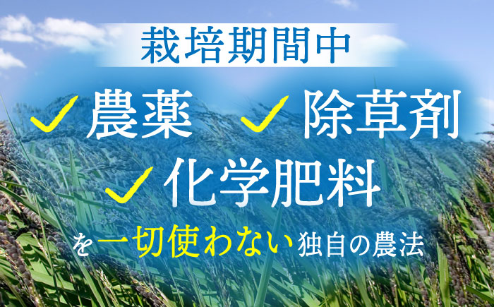【全6回定期便】穀物三昧 1kg（500g×2袋）【葦農】 [HAJ023]雑穀
