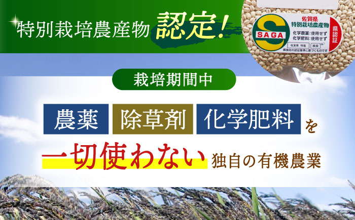 【全3回定期便】栽培期間中農薬不使用 押麦500g（1等麦使用）【葦農】 [HAJ037] 麦