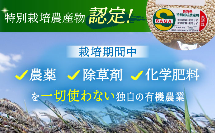 【全6回定期便】栽培期間中農薬不使用 丸麦500g（1等麦使用）【葦農】 [HAJ041] 麦