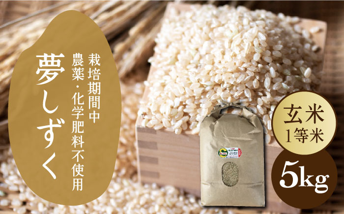 雑穀米・玄米セット（令和5年産 夢しずく 5kg・穀物三昧 200g×2袋）【葦農】 [HAJ043]