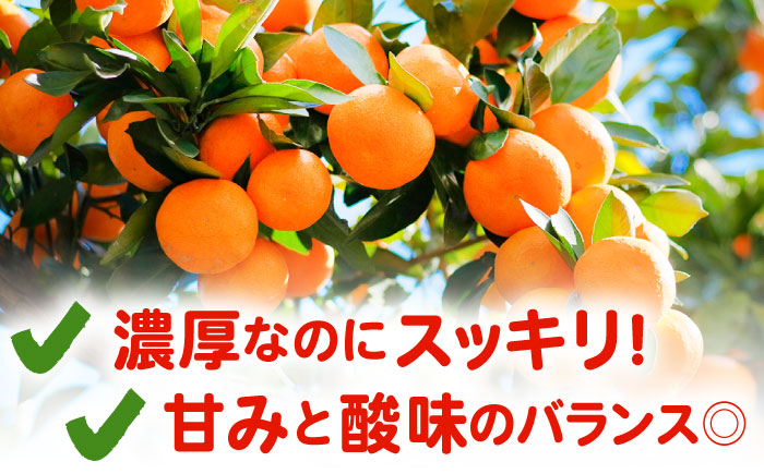 みかんのきもち 1箱（280ml×24本）【JAさが 杵島支所】 [HAM001] みかん