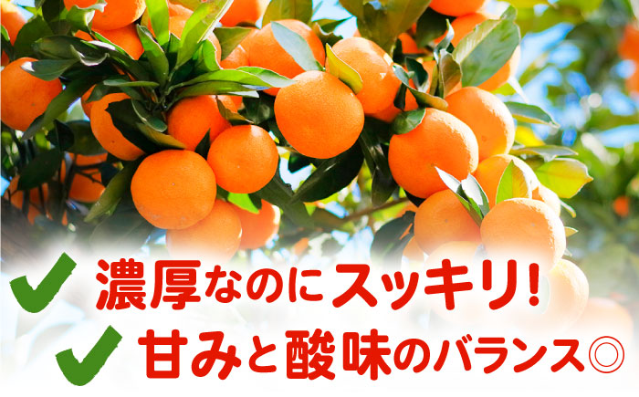 みかんのきもち 2箱セット（280ml×48本）【JAさが 杵島支所】 [HAM003] みかん