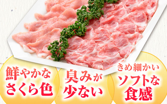 【12/15入金まで年内発送】肥前さくらポーク しゃぶしゃぶセット【JAさが 杵島支所】 [HAM027] 豚肉