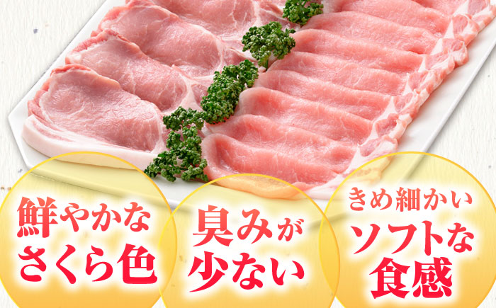 【全12回定期便】肥前さくらポーク 詰め合わせ セット 【JAさが 杵島支所】豚 ロース 豚肉 しょうが焼き とんかつ 生姜焼き トンカツ [HAM074]
