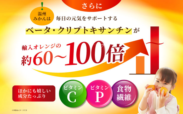 佐賀みかん （さが美人）5kg 【JAさが 杵島支所】 みかん 佐賀 温州みかん さが美人 [HAM086]