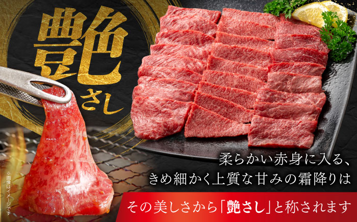 佐賀牛 焼肉セット A モモ バラ ウデ　約600g 【JAさが 杵島支所】 [HAM091]