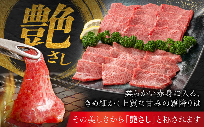 佐賀牛 焼肉セット B モモ バラ 約500g 【JAさが 杵島支所】 [HAM092]
