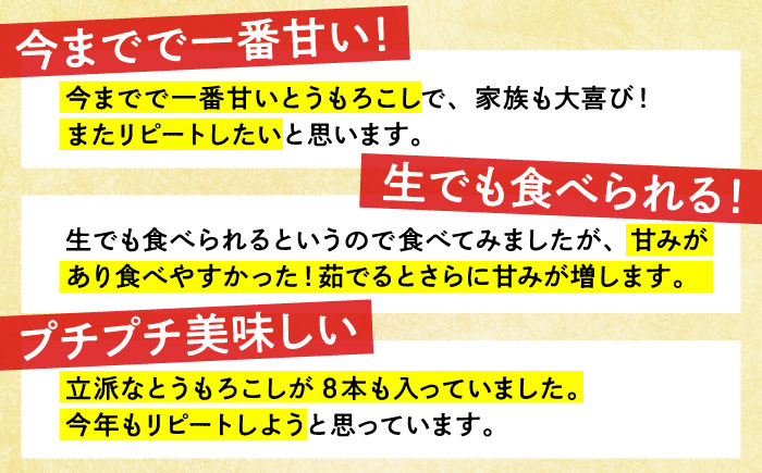 【先行予約】＜2026年6月中旬以降発送>スイートコーン ゴールドラッシュ 8本～10本【八丁屋】とうもろこし [HAO001]