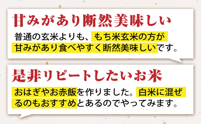 令和7年産 新米 ヒヨクモチ 玄米 15kg【かづやの農園】 [HAP006]