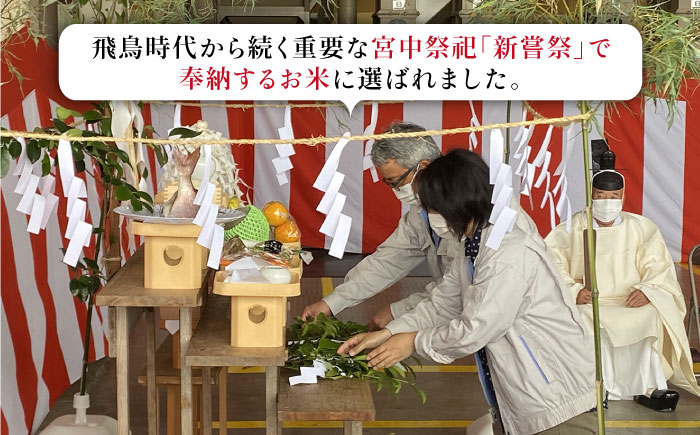 【先行予約】令和6年産 ヒヨクモチ 精米 7kg【かづやの農園】 [HAP007]