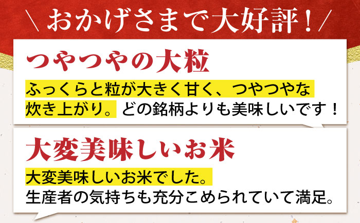 【先行予約】令和6年産 さがびより 精米 7kg【かづやの農園】 [HAP010] 白米