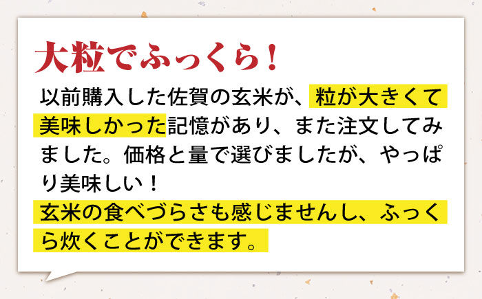 【先行予約】令和6年産 ヒノヒカリ 玄米 10kg（5kg×2）【かづやの農園】 [HAP014]