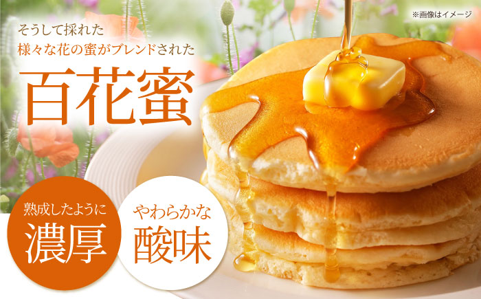 【先行予約】日本ミツバチの天然生はちみつ（百花蜜）300g【白木酒店】 [HAQ011]