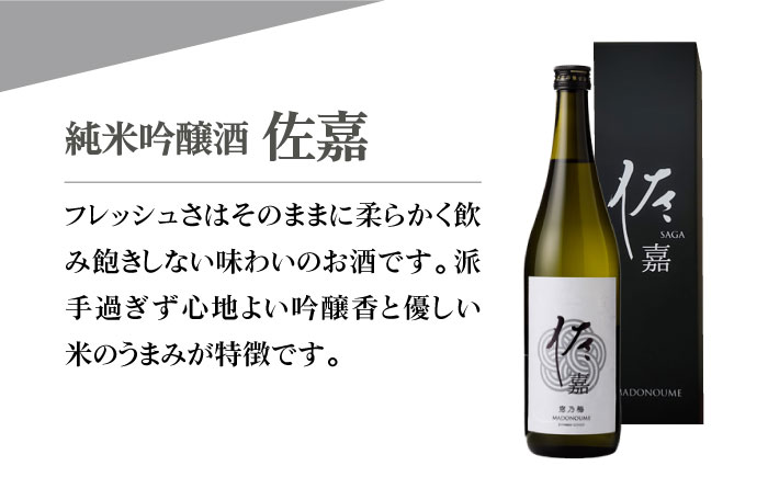佐嘉 飲み比べセットA【白木酒店】 [HAQ035]日本酒