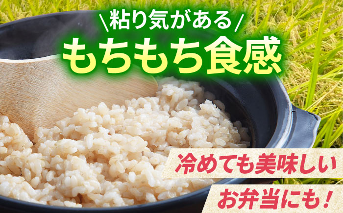 【全6回定期便】がばいうまか エガシライス（夢しずく）玄米 10kg（5kg×2袋）【江頭農園】 [HAU010]