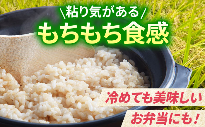 【全12回定期便】がばいうまか エガシライス（夢しずく）玄米 10kg（5kg×2袋）【江頭農園】 [HAU011]