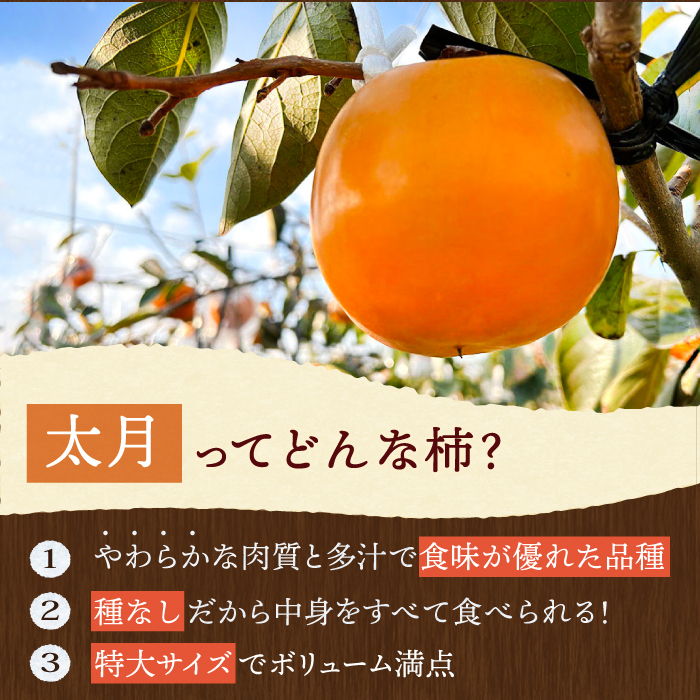 【10月下旬～11月下旬発送】種なし柿 太月・渋抜き柿 3kg【小林農園】 [HAX001]