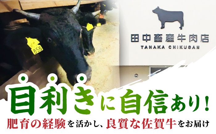 【2度の農林水産大臣賞】佐賀牛 サーロイン ステーキ 200g×1枚【田中畜産牛肉店】 [HBH007]