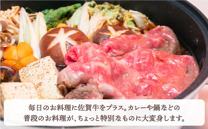 【全6回定期便】佐賀牛 ロース 切り落とし 450g【田中畜産牛肉店】 [HBH067]