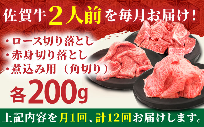 【全12回定期便】おふたりさま向け 佐賀牛 普段使いセットA【田中畜産牛肉店】 [HBH069] 牛肉