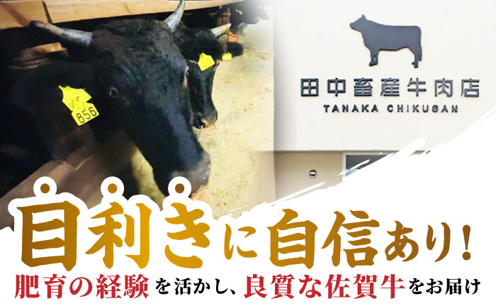 【2度の農林水産大臣賞】佐賀牛 プレミアム霜降りセット【田中畜産牛肉店】 [HBH071] 牛肉