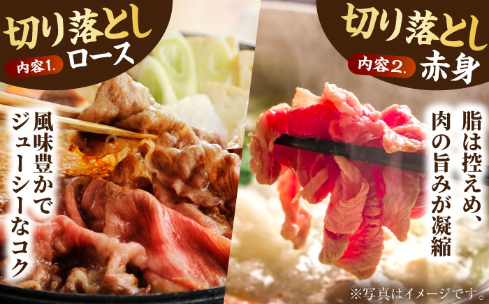 【全12回定期便】4人家族向け 佐賀牛 普段使いセットB【田中畜産牛肉店】 [HBH117] 牛肉