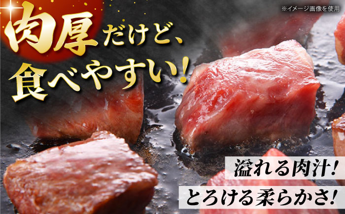 【2度の農林水産大臣賞】佐賀牛 ヒレ サイコロ ステーキ 300g【田中畜産牛肉店】 佐賀牛 黒毛和牛 希少部位 フィレ [HBH138]