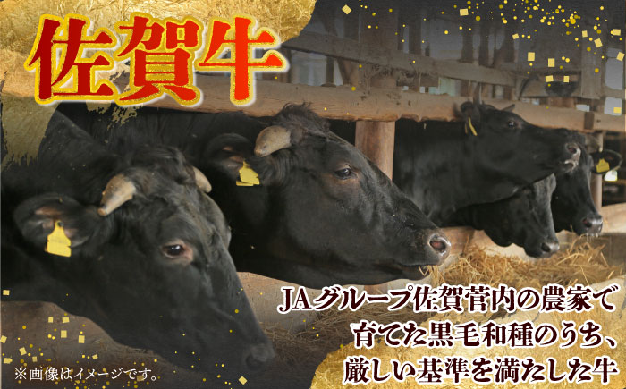 【2度の農林水産大臣賞】佐賀牛 焼肉用（カルビ・赤身） 1kg【田中畜産牛肉店】佐賀牛 牛肉 切り落とし [HBH144]