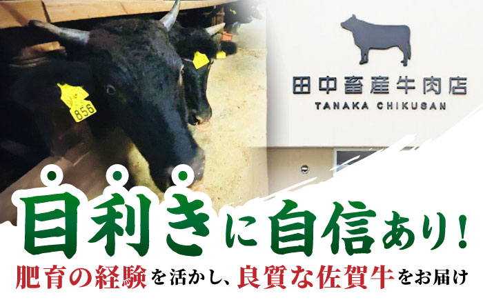 【全12回定期便】佐賀牛 焼肉用（カルビ・赤身） 500g 【田中畜産牛肉店】 佐賀牛 牛肉 精肉 肉 切り落とし [HBH156]