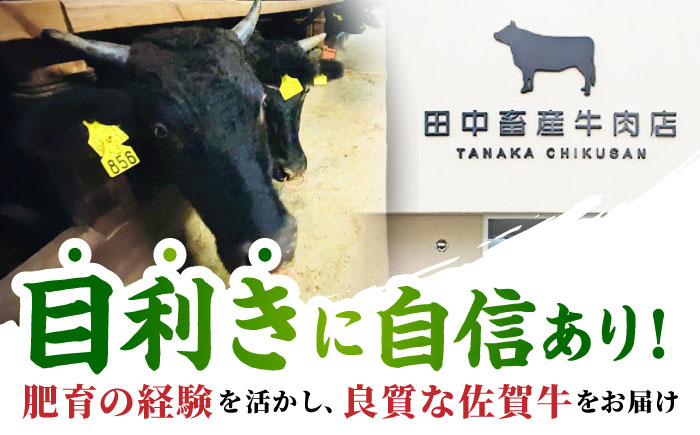 【2度の農林水産大臣賞】 佐賀牛 焼肉 盛り合わせ 500g（霜降り・赤身 各250g）【田中畜産牛肉店】 黒毛和牛 バーベキュー BBQ [HBH160]