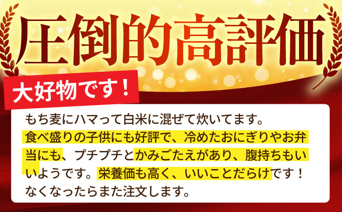 【プチプチのもち麦】キラリモチ 2kg（1kg×2袋）【大塚米穀店】 [HBL017] 麦 雑穀 雑穀米
