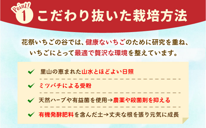 【先行予約】【五感で楽しむ】いちご狩り体験 ペアチケット【花祭いちごの谷】 [HBN002]