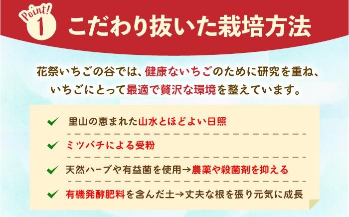 【先行予約】【五感で楽しむ】いちご狩り体験 チケット 3枚【花祭いちごの谷】 [HBN004]