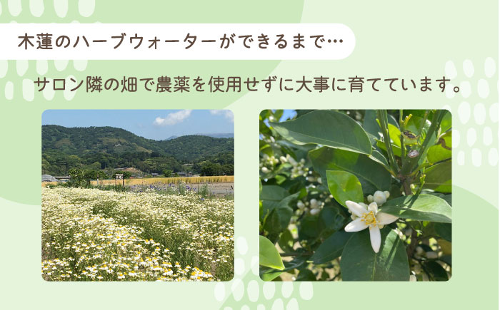 【自家製ハーブを使った】 ハーブウォーター 3本セット（カモミール・ネロリ・ラベンダー）【木蓮】 [HBX007]