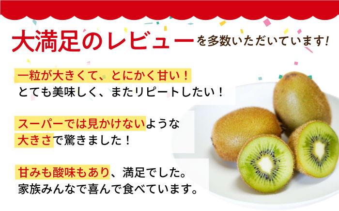 【先行予約】令和7年産 キウイフルーツ（ヘイワード）3.6kg【JAさが】 [HBZ001]